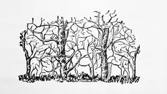 Det första djuret du ser på bilden avslöjar kärnan i din personlighet.